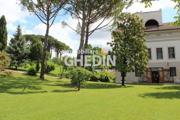 Exclusive Ghedin Real Estate